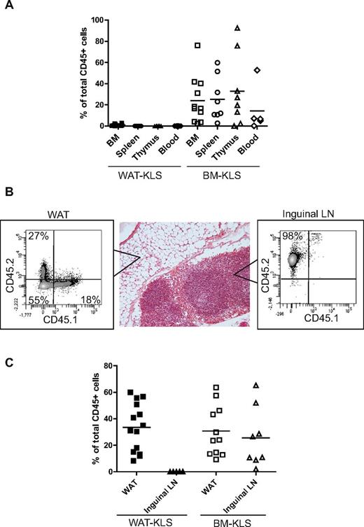 Figure 3. Quantification of chimerism after reconstitution of lethally irradiated mice. Lethally irradiated CD45.2 mice were coinjected with 103 sorted KLS cells isolated from either the WAT or BM of CD45.1 mice and 2.105 total BM cells were harvested from CD45.2 mice. Total chimerism was quantified in hematopoietic organs and peripheral blood (A) and in WAT and inguinal LNs (B-C) in primary recipients 4 months after injection. Chimerism was expressed as a percentage of CD45.1+ cells belonging from WAT-KLS cells (black symbols) or BM-KLS cells (open symbols) of total CD45+ cells in each organ. Dot plots are representative of 6-8 independent experiments.