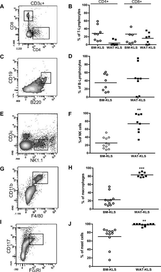 Figure 5. Quantification of chimerism in mature immune cells in WAT after reconstitution of lethally irradiated mice. Lethally irradiated CD45.2 mice were coinjected with 103 CD45.1+ KLS cells sorted from WAT (black symbols) or BM (open symbols) and 2.105 total BM cells isolated from CD45.2 mice. Four months after transplantation, T lymphocytes (CD4+ or CD8+ gated on CD3ϵ+; A), B lymphocytes (CD19+/B220+; C), NK cells (NK1.1+/CD3ϵ−; E), macrophages (CD11b+/F4/80+; G), and mast cells (FcϵRI+/CD117+; I) in WAT were identified by flow cytometry, and the proportion of CD45.1+ cells was analyzed in each population (B, D, F, H, and J). Dot plots are representative of 6-8 independent experiments.
