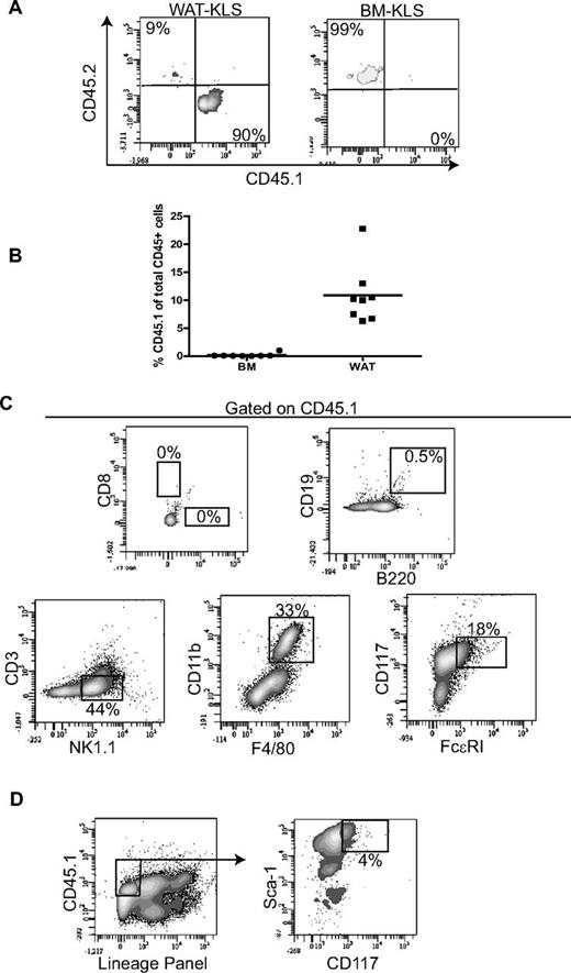 Figure 6. Self-renewal activity. (A) Determination of the origin of WAT-KLS and BM-KLS cells in primary recipients transplanted with WAT-KLS cells. Representative dot plots show that WAT-KLS cells were able to reconstitute the KLS cell population present in WAT but not in the BM. (B) Total chimerism quantified in WAT and BM in secondary recipients after coinjection of 103 KLS cells sorted from the WAT of primary recipients and 2.105 total BM cells. CD45.1+ cells (donor origin) present in WAT were analyzed by flow cytometry to identify mature immune cells (C) such as T lymphocytes (CD4+ or CD8+), B lymphocytes (CD19+/B220+), NK cells (NK1.1+/CD3ϵ−), macrophages (CD11b+/F4/80+), mast cells (FcϵRI+/CD117+), or KLS cells (D). Dot plots are representative of 8 independent experiments and quantifications are expressed as a percentage of CD45.1+ cells.