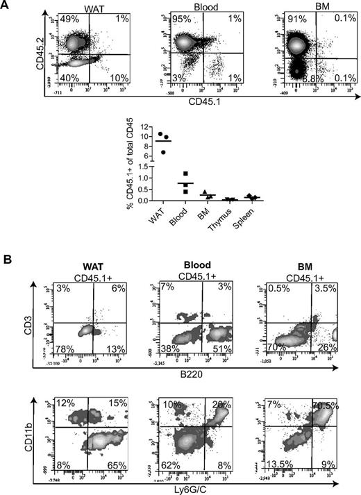 Figure 7. In utero WAT-KLS cells transplantation. Liver transplantation of 2 × 104 WAT-KLS cells was performed in utero in embryos at embryonic day 13. Total chimerism was quantified in the WAT, blood, BM, thymus, and spleen 2 months after birth (A). Percentage of total cells expressing either the donor (CD45.1) or the host (CD45.2) cell marker. (B) Analysis of mature immune cells in the CD45.1+ population by flow cytometry. The percentages of CD45.1+ cells expressing lineage markers are indicated. Dot plots are representative of 3 independent animals.