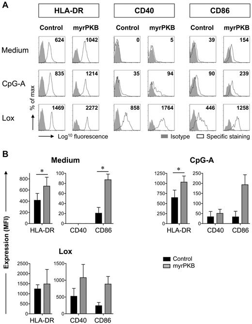 Figure 3. Ectopic PKB activation increases costimulatory molecule expression by pDCs. CD34+ HPCs, retrovirally transduced with myrPKB or a control vector, were differentiated toward pDCs in 2 weeks. Cells were either left unstimulated, or CpG-A or Lox was added during the last 18 hours of culture. Expression of HLA-DR, CD40, and CD86 by eGFP+CD123+BDCA-2+BDCA-4+ pDCs was determined. Specific staining was calculated by subtracting the mean fluorescence intensity (MFI) of the isotype control from the MFI measured for each marker (n = 3). (A) Representative FACS plots gated on eGFP+ pDCs are shown. Numbers in the FACS plots indicate the specific staining calculated for the experiment shown. (B) Mean ± SEM specific staining of eGFP+ pDC is shown. *P < .05, paired Student t test.