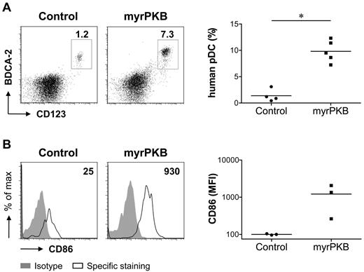 Figure 4. Constitutively active PKB increases development and activation status of CD34-derived pDCs in vivo. CD34+ HPCs were retrovirally transduced with myrPKB or a control vector. Day 3 unsorted cells were intravenously injected into β2-microglobulin−/− NOD/SCID mice. Six weeks after transplantation, bone marrow cells were analyzed for the expression of eGFP, CD123, BDCA-2, and CD86. The presence of CD123+BDCA-2+ human pDCs within the eGFP+ fraction and the expression of CD86 by eGFP+CD123+BDCA-2+ human pDCs was determined. (A) Shown are representative FACS plots gated on eGFP+ cells and percentage CD123+BDCA-2+ human pDCs within the eGFP+ population per mouse (control, n = 4; myrPKB, n = 5). (B) Specific CD86 staining of eGFP+ human pDCs was calculated by subtracting MFI of the isotype control from the MFI measured for CD86. Expression in different experiments was standardized to control per experiment. Shown are representative FACS plots gated on eGFP+ human pDCs and standardized CD86 expression by eGFP+ human pDCs per mouse (control, n = 3; myrPKB, n = 3). Numbers in the FACS plots indicate the specific staining calculated for the experiment shown. *P < .05, Mann-Whitney U test.
