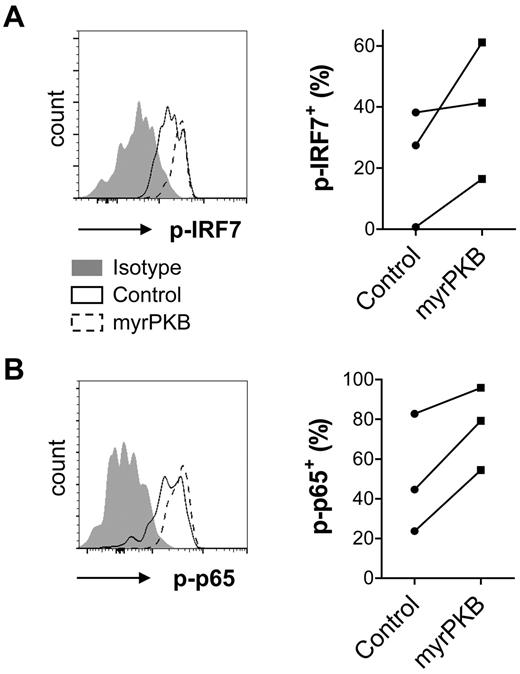 Figure 6. Enhanced IRF7 and p65 phosphorylation in myrPKB-expressing pDCs. CD34+ HPCs were transduced and cultured as described in the legend for Figure 5. HSV was added during the last 5 hours of culture. Expression of eGFP, CD123, BDCA-2, phosphorylated IRF7 (p-IRF7), and phosphorylated p65 (p-p65) was analyzed by flow cytometry. The percentage of eGFP+CD123+BDCA-2+ pDCs expressing p-IRF7 (A) or p-p65 (B) was determined. Representative FACS plots showing eGFP+ pDCs and percentages per independent experiment are shown (n = 3).