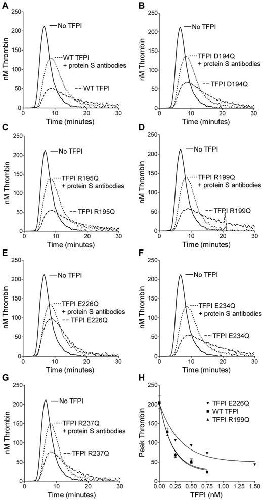 Figure 1. Inhibition of thrombin generation by TFPI single-point variants in TFPI-depleted plasma. Thrombin generation was measured in TFPI-depleted plasma supplemented with 4μM phospholipids, 1pM TF (Dade Innovin), and 0.25nM TFPI in concentrated conditioned medium in the presence or absence of 2.8μM antibodies against protein S. The inhibition of thrombin generation by WT TFPI (A) was compared with TFPI D194Q (B), TFPI R195Q (C), TFPI R199Q (D), TFPI E226Q (E), TFPI E234Q (F), and TFPI R237Q (G). Representative experiments are shown (n = 3). WT TFPI, TFPI R199Q, and TFPI E226Q were titrated in the absence of antibodies against protein S and the peak thrombin was plotted against the TFPI concentration. Means ± SD (n = 3) are shown in panel H.