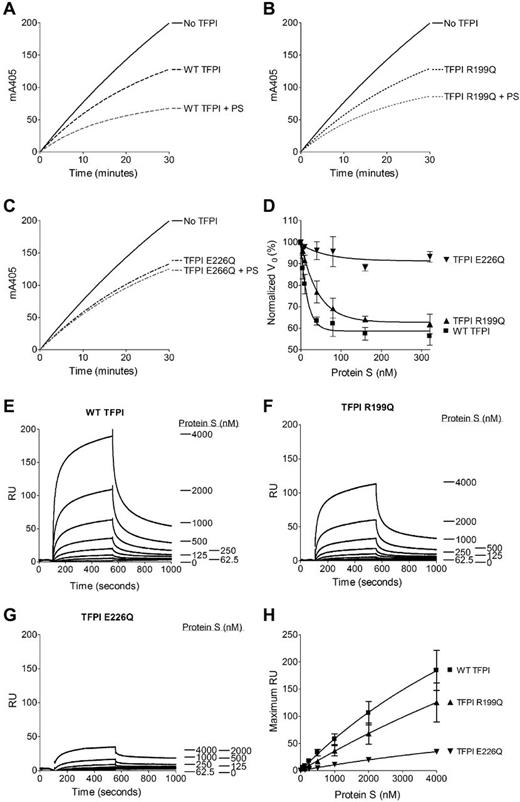 Figure 2. Inhibition of FXa by the TFPI variants in the presence or absence of protein S and binding of protein S to TFPI studied by SPR. (A-D) Cleavage of 200μM S-2765 by 0.5nM FXa was monitored at 405nm in the presence of phospholipids (25μM), 2nM WT TFPI (A), TFPI R199Q (B), and TFPI E226Q (C) and in the presence or absence of 100nM protein S (PS). Results from a representative experiment are shown. Increasing concentrations of protein S (0-320nM; Enzyme Research Laboratories) were added to 2nM WT TFPI, TFPI R199Q, and TFPI E226Q. The v0 (initial velocity; expressed as percentage of the v0 in the absence of TFPI) was calculated and plotted against the protein S concentration. Values are given as means ± SD (n = 3) in panel D. (E-H) A CM5 chip was coupled with WT TFPI (E), TFPI R199Q (F), or TFPI E226Q (G) to 2500 resonance units (RU). The flow cells were perfused with increasing concentrations (0-4000nM) of protein S. Results from a representative experiment are shown (n = 3). The maximum RU (RU at 550 seconds of association) was plotted against the protein S concentration. Data are given as means ± SEM (n = 3) in panel H.