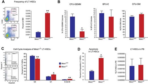 Figure 1. Meis1 Deletion in LT-HSCs results in apoptosis and loss of quiescence. (A) Left panel: Representative flow cytometry profile of LT-HSCs (Lin−Sca-1+Kit+Flk2−CD34−) of bone marrow (BM) cells are shown for control Meis1+/+ and mutant Meis1−/− mice. Numbers in the FACS plots indicate percentages among total BM cells. Right panel: Quantification of LT-HSCs demonstrates significantly higher number of HSCs in Meis1−/− BM (n = 6). (B) The in vitro methylcellulose colony formation assay was performed at the time of sacrifice after tamoxifen injections with BM cells of control and Meis1−/− mice. CFU-GEMM colonies representing most undifferentiated progenitors type of colonies derived from Meis1+/+ and Meis1−/− BM cells demonstrates decreased percentage of CFU-GEMM. Quantification of BFU-E and CFU-GM colonies derived from Meis1−/− cells shows no differences (n = 3). (C) Left panel: Representative FACS analysis of Pyronin Y/Hoecst staining on LT-HSCs (Lin−Sca-1+Kit+CD150+CD48−) of Meis1+/+ and Mesi1−/− mice. Numbers in the FACS plots indicate percentages among LT-HSCs. Right panel, The quantification of G0, G1, or S/G2/M phase in Meis1+/+ and Meis1−/− LT-HSCs (n = 6). (D) Quantification of apoptosis in Meis1+/+ and Meis1−/− LT-HSCs (n = 3). (E) Quantification of LT-HSCs in peripheral blood (PB) of Meis1+/+ and Meis1−/− mice (n = 6); *P < .05, **P < .01.