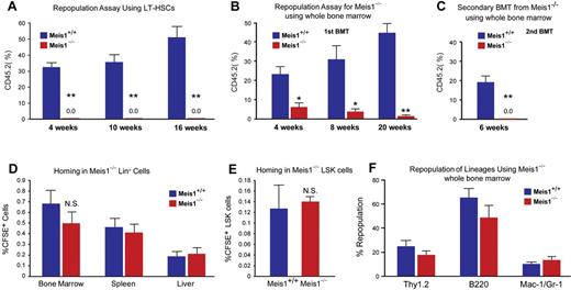 Figure 2. Impaired repopulation in Meis1−/− LT-HSCs. Repopulation assays: (A) LT-HSCs (Lin−Sca1+Kit+Flk2−CD34−; 150 cells) from either control (Meis1+/+) or mutant Meis1−/− CD45.2 mice were transplanted into irradiated CD45.1 hosts in competition with BM from CD45.1 mice (1 × 105 cells). Quantification of flow cytometry profile of peripheral blood of bone marrow recipient mice up to 16 weeks for percentage of CD45.2+ cells demonstrates total loss of bone marrow reconstitution of Meis1−/− LT-HSCs (n = 5). (B) Repopulation assay with whole bone marrow from either control Meis1+/+ or mutant Meis1−/− CD45.2 mice were transplanted into irradiated CD45.1 mice demonstrates significantly impaired repopulation in mice transplanted with Meis1−/− cells (n = 5). (C) Analysis of repopulation after second bone marrow transplantation (BMT) from first BMT mice demonstrates complete loss of repopulation (n = 5). Homing assays: (D) BM Lin− cells (3 × 106 cells) were transplanted into irradiated mice and quantified for CFSE+ cells in different tissues. Quantification of percentage of CFSE+ cells in BM, spleen, and liver show no difference between Meis1+/+ and Meis1−/− mice (n = 5). (E) Quantification of percentage of CFSE+ LSK cells in BM of Meis1+/+ and Meis1−/− mice (n = 5). (F) Quantification of repopulation of lineages for Meis1−/− using whole bone marrow from first BMT mice demonstrates no defects in lineage repopulation (n = 5); *P < .05, **P < .01.