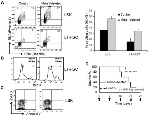 Figure 4. Meis1 deletion leads to loss of quiescence in LT-HSCs. (A) Meis1-flox/CreER and control mice were treated with tamoxifen and, 1 week later, BM was analyzed by flow cytometry for cell-cycle analysis. Flow cytometry plots depict results of pyronin Y (vertical axis, RNA stain) and Hoechst (horizontal axis, DNA stain) staining gated on the LSK and LT-HSC fractions. Left lower quadrant represents cells in G0, left upper quadrant G1, and upper right S phase. Data are summarized in the bar graph to the right (n = 2 control and 3 Meis1 deleted). (B) Mice were treated as in panel A and then injected with BrdU before being killed. Shown are representative histograms of anti-BrdU staining gated on the LT-HSCs, as defined previously. (C) Flow cytometry plots of annexin V and 7-amino-actinomycin D gated on the LSK fraction of control and Meis1-deleted mice. (D) Meis1-deleted and control mice were treated with weekly doses of 5-FU. Graph shows the percentage survival (vertical axis) over time (horizontal axis) with the horizontal-axis labels representing the dates of 5-FU injection.