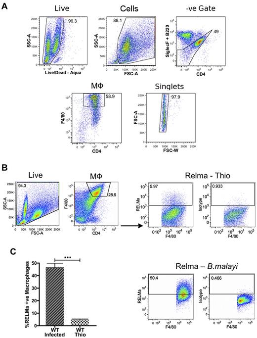 Figure 1. Flow cytometric acquisition of macrophages and confirmation of alternative activation in WT B malayi–implanted macrophages. (A) Gating strategy used to obtain pure macrophage populations as shown with 1 representative WT B malayi–infected individual. After the removal of dead cells, B220, SiglecF, and CD4-positive cells were excluded. F4/80 high cells were then selected and doublets removed based on forward scatter width (FSC-W)/forward scatter area (FSC-A). (B) Intracellular cytokine staining for RELMα expression in thioglycollate-elicited macrophages (top) and B malayi–elicited macrophages (bottom). The scatter profile and macrophage gates on the left refer to 1 representative WT B malayi–infected individual. (C) Bar chart showing percentage of RELMα-positive macrophages from analysis. (B) n = 9 per group. ***P < .001.