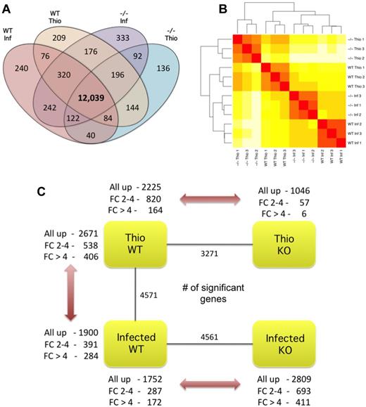 Figure 2. Overall gene expression and differential expression analysis. (A) Number of expressed genes in macrophage populations where expressed is considered as at least 1 read mapping to a gene in all 3 replicates of a condition. (B) Unsupervised, hierarchical clustering of individual lanes demonstrating discrete clustering of biologic replicates. (C) Summary of DE genes (P < .01) in each pairwise comparison showing the total number of DE genes (inner), and a breakdown showing the direction of differential expression for both moderately (log 2-fold change ± 2-4) and highly (log 2-fold change > 4) DE genes.
