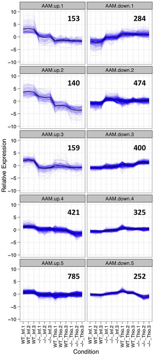 Figure 3. Expression profiles of differentially expressed AAMφ-associated gene sets. The expression profiles of gene sets positively and negatively associated with alternative activation (AAMφ-up and AAMφ-down). All statistically significant genes (P < .01) between WT-NeMφ and WT-ThioMφ, and WT-NeMφ and IL4Rα−/−-NeMφ, were clustered using hierarchical agglomerative clustering. Each gene within an expression cluster is plotted in blue, and the mean expression for all genes within each cluster is overlaid in black. The figure in each panel represents the total number of genes in that cluster.