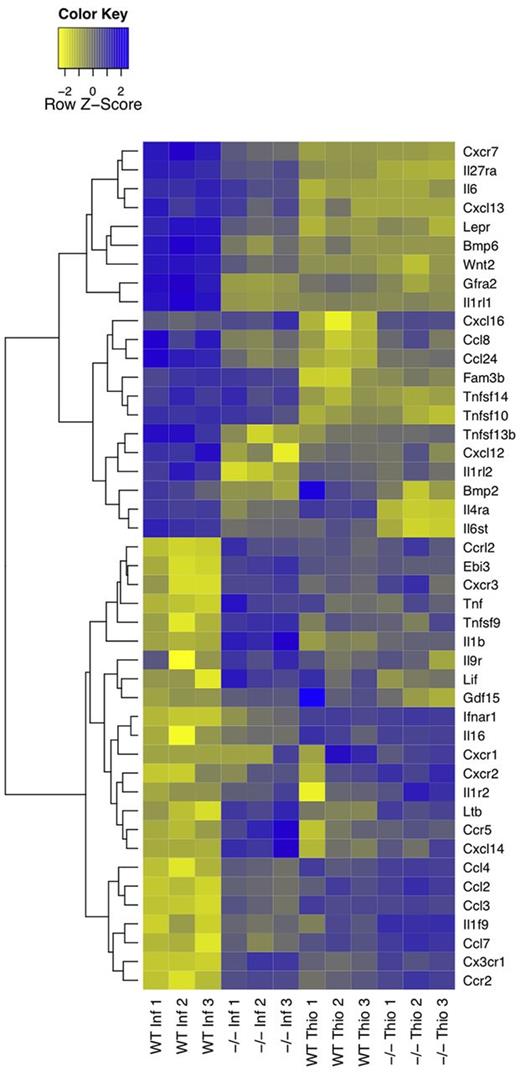 Figure 4. Heatmap of alternative activation-modulated immune effectors. Immune effector genes, cytokines, chemokines, and their respective receptors (GO:0005125, GO:0008009, GO:0004896, and GO:0004950, respectively), in AAMφ-associated clusters were identified based on Gene Ontology annotations. Hierarchical clustering analysis reveals a unique expression profile of AAMφ-associated immune effectors.