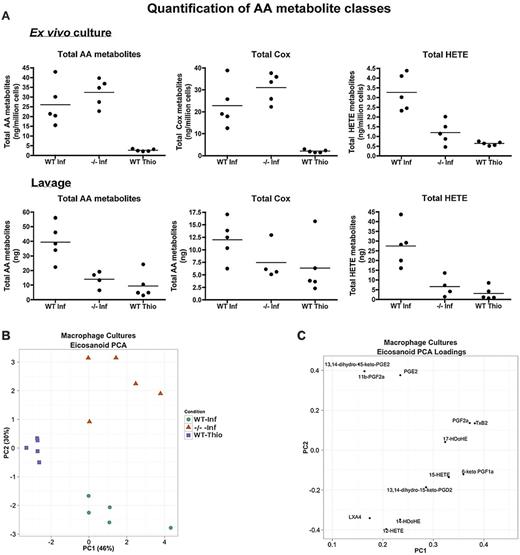 Figure 7. Characterization of AAMφ-derived eicosanoids. (A) Quantification of arachidonic acid (AA) metabolites in 12-hour cultures of purified macrophages (top) and in peritoneal lavages (bottom). (B) PCA scores plot for 12-hour cultures of purified macrophages. (C) PCA loading plot for panel B, showing how individual eicosanoids contribute toward the primary and secondary principal (x and y, respectively) axes. (D) Pie chart showing the breakdown in the production of cyclo-oxygenase metabolites between WT-NeMφ and IL4Rα−/−-NeMφ. (E) Schematic of the AA cascade reproduced using VANTED. Square boxes with red text represent genes; and rounded boxes with black text, measured metabolites. Black arrows indicate enzymatic reactions; and red arrows, auto-oxidation. Relative expression values (normalized such that the total over all 3 conditions = 1) are beneath the associated gene/metabolite. WT B malayi (left box) IL4Rα−/− B malayi implanted (center), and WT thioglycollate (right). (F-G) PCA scores and loading plot as in panels B and C for the peritoneal lavages.
