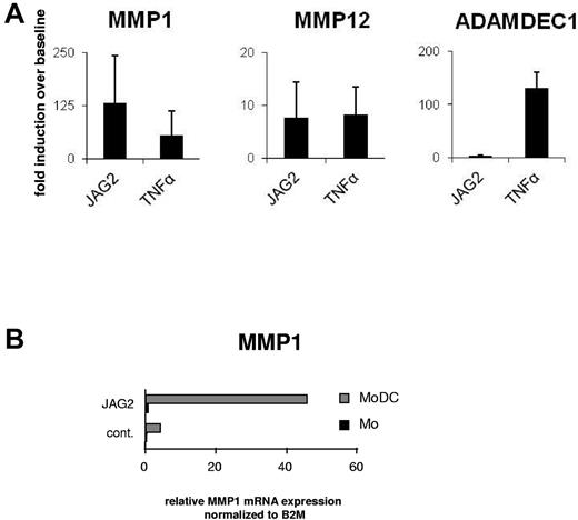 Figure 4. JAG2 induces MMP expression in MoDCs. (A) GM-CSF– and IL-4–generated MoDCs were cocultured with JAG2 or control transfected MS5 feeder cells for 15 hours. As a benchmark for protease induction, TNFα was added instead of JAG2 or control feeder cells. Cells were harvested and analyzed for induction of MMP1, MMP12, and ADAMDEC1. Transcripts were normalized to β2-microglobulin and induction over control transfected feeder cells is shown. Feeder cells alone did not show significant induction of transcripts. Error bars show the SD. The results of 1 of 6 independent experiments with 3 different donors are shown. (B) Induction of MMP1 expression in monocytes and MoDCs. Cells were plated onto feeder cells expressing JAG2 or control cells and harvested after 14 hours. MMP1 RNA induction was normalized to β2-microglobulin and relative expression values are shown. The results of 1 of 3 independent experiments with 5 different donors are shown.