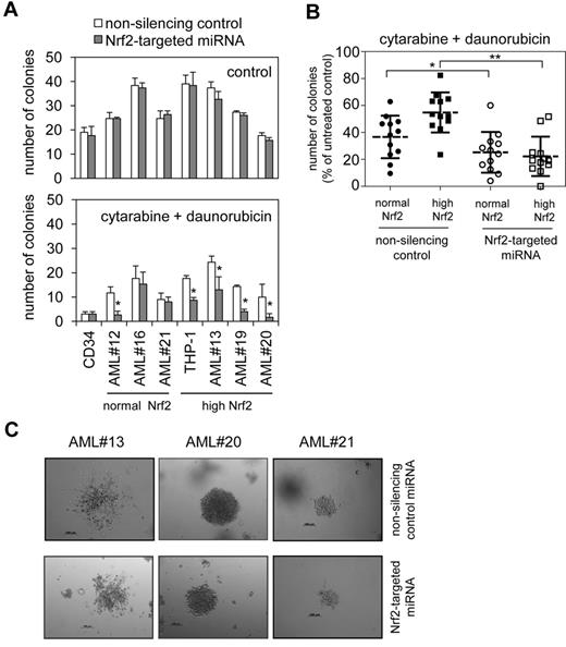 Figure 6. Reduced colony formation of AML cells after knockdown of Nrf2. (A) AML cells and control cells were transduced with Nrf2-targeted miRNA and control miRNA constructs and colony forming assays were performed to show the number of colonies in response to combined treatment with 0.5μM cytarabine and 0.2μM daunorubicin. In all panels values indicate the mean ± SD from 3 independent experiments. *Statistical significance of P < .05 between the different treatment groups when Student t test was used. (B) AML cells treated with 0.5μM cytarabine and 0.2μM daunorubicin from panel A expressed as number of colonies as a percentage of untreated AML colonies. *P < .05 and **P < .01 by 2-way ANOVA analysis. (C) Transmission light microscopic examination of colonies derived from AML cells and control cells infected with Nrf2-targeted or control miRNA construct.