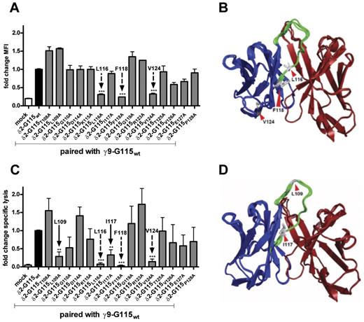 Figure 2. γ9δ2TCR expression and functional avidity of transduced T cells expressing single alanine mutated δ2 chain of clone G115. (A) Peripheral blood T cells were virally transduced with indicated γ9 and δ2 TCR chains and analyzed by flow cytometry using a δ2-chain specific Ab. Shown is the fold change in mean fluorescent intensity (MFI) with wild-type controls expressing δ2-G115wt. (C) Lytic activity of transductants was tested in a 51Cr-release assay against the tumor target Daudi (E:T, 10:1). Specific lysis is indicated as the fold change in 51Cr-release measured in the supernatant after 5 hours compared with reactivity of unmutated wild-type (δ2-G115wt). Arrows indicate mutations in δ2-G115 that impaired receptor expression (dashed arrows) or functional avidity (solid arrows). (B,D) Crystal structure of γ9δ2TCR G115 indicating relevant amino acids (red arrows), δ-chain (in blue), δCDR3 (in green), and γ-chain (in brown).