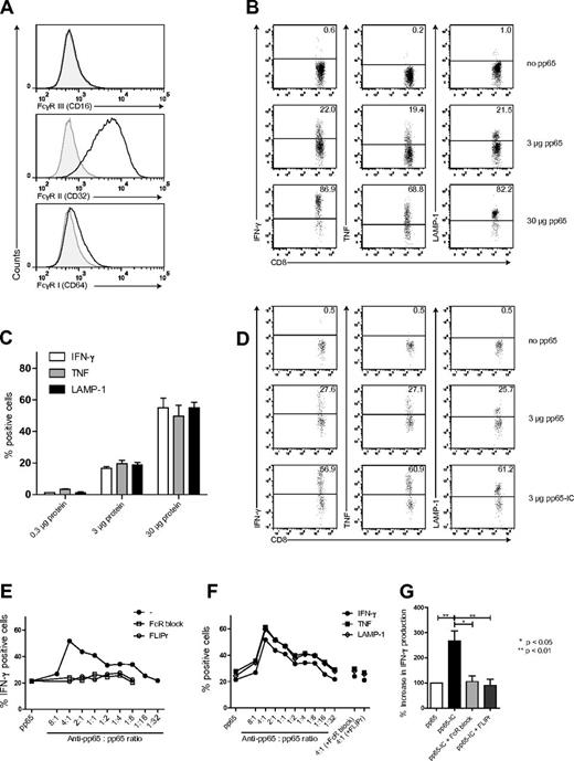 Figure 1. Human MoDCs express FcγRs that facilitate antigen cross-presentation. (A) FcγRI, II and III expression on human monocyte-derived DCs (MoDCs), cultured under serum-free conditions (n = 6). (B-C) Cross-presentation of pp65495-503 to CD8+ T cells (n = 6). (B) Representative plots of CD8+ T-cell activation. MoDCs were loaded with HCMV derived pp65 and cocultured with A2/NLVPMVATV specific T cells. Freshly thawed T cells were gated based on CD3 en CD8 expression and analyzed for activation-induced production of IFN-γ (left), TNF (middle), and LAMP-1 surface expression (right). (C) Summary (mean + SEM) of HCMV pp65495-503 cross-presentation. Bars represent production of IFN-γ (white), TNF (gray), and LAMP-1 (black) surface expression after coculture with MoDCs loaded with 0.3, 3, and 30 μg pp65 (n = 5-8). (D-G) Increased cross-presentation by FcγR targeting of pp65. (D) MoDCs were loaded with pp65 (top plots) or pp65-IC (bottom plots) and analyzed as in panel B. (E) HCMV pp65 was added across a range of Ab:Ag ratios and production of IFN-γ was analyzed (closed circles). Contribution of FcγR in IC-mediated cross-presentation by inclusion of FcγR-blocking reagents: purified IgG-Fc fragments (open squares) or recombinant S aureus–LIPr-like (open circles). (F) IFN-γ (closed circles), TNF (closed squares), and surface display of LAMP-1 (open diamonds) on CD8+ T cells. (G) Summary (mean + SEM) of IFN-γ production after IC-mediated cross-presentation in absence (black bar, n = 4) or presence of FcR blocking reagents (IgG-Fc-fragments, light gray; FLIPr-like, dark gray; n = 3).
