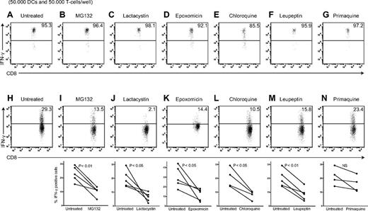 Figure 3. Cross-presentation of FcγR-targeted viral antigen requires antigen processing in both the endosomal pathway and by the proteasome. Human MoDCs were allowed to process 3 μg pp65-IC in absence (A-H) or presence of proteolysis inhibitors indicated (O/N, 37°C; B-G, I-N). To ascertain that inhibitors do not counteract HLA-A2–mediated presentation indiscriminately, DCs were loaded with 1−6 M NLVPMVATV peptide and T-cell activation assessed after 4 hours in the presence of Golgi-stop (A-G). Shown are representative plots of IFN-γ production by A2/NLVPMVATV-reactive T cells (n > 3 independent experiments, summarized in supplemental Figure 2) for peptide control experiments (A-G) and representative plots (top) and summarizing graphs for each inhibitor (H-N, n = 4-5). (B-I) MG132 proteasome inhibitor, 50μM. (C-J) Lactacysin proteasome inhibitor, 100μM. (D-K) Epoxomicin proteasome inhibitor, 10μM. (E-L) chloroquine endosomal acidification inhibitor, 50μM. (F-M) Leupeptin lysosomal cysteine protease inhibitor,15μM. (G-N) Primaquine recycling endosome inhibitor, 50μM.
