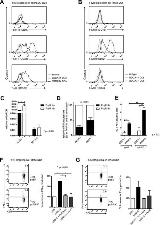 Figure 4. FcγRs on human BDCA-3+ contribute to antigen cross-presentation. FcγRI, II and III expression on BDCA-1+ and BDCA-3+ DCs extracted from human blood (A) and tonsils (B; BDCA-1+, dashed line) and (BDCA-3+, solid line; n = 3). (C) FcγRIIa (black bars) and FcγRIIb (white bars) mRNA expression in BDCA-1+ and BDCA-3+ DCs extracted from human blood (mean + SEM, n = 5). (D) relative FcγRIIa (black bars) and FcγRIIb (white bars) mRNA expression in BDCA-1+ and BDCA-3+ DCs (mean + SEM, n = 5). (E) BDCA-1+ (white bar) and BDCA-3+ (black bar) were FACS-sorted (at least 98% purity) and cultured in the presence of 3 μg pp65 (left bars) or pp65-IC (right bars; O/N, 37°C). Next, A2/NLVPMVATVCD8+ T cells were added to DC cultures and cross-presentation was analyzed as in Figures 1 and 2 (mean + SEM, n = 3). (F-G) Representative plots and summary of IFN-γ production (mean + SEM) after IC-mediated cross-presentation in the absence (black bar) or presence of FcR blocking reagents (IgG-Fc fragments (light gray), recombinant S aureus–FLIPr-like (dark gray; n = 3 in panel F; n = 2 in panel G).