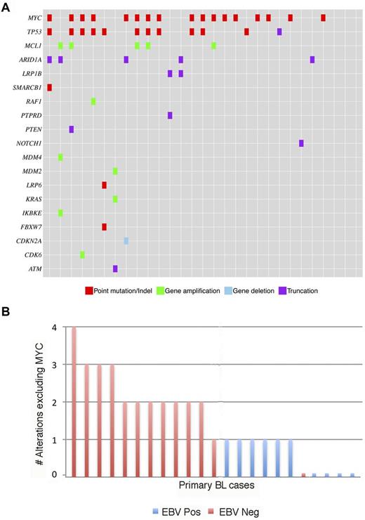 Figure 1. Genomic alterations in pBL. (A) Diagram of mutations identified by targeted genomic sequencing. Columns represent individual samples. Alterations listed include only those likely to be somatic as referenced in COSMIC,22 as well as MYC point mutations and indels of unknown significance. We detected copy number alterations by comparing targeted genomic DNA sequence coverage with a process-matched normal control sample. We detected genomic rearrangements by clustering chimeric reads mapping to targeted introns. (B) Distribution of frequency of alterations by EBV status. EBV-negative cases (EBV Neg) are significantly more likely to have > 1 alteration compared with EBV-positive cases (EBV Pos; P < .0001).