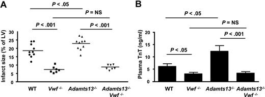 Figure 2. VWF deficiency reduces acute myocardial I/R injury and ADAMTS13 deficiency–mediated aggravated myocardial I/R injury is VWF dependent. (A) Quantification of the infarct size (n = 7-10/group). WT and Adamts13−/− mice are a different set of mice from those shown in Figure 1. Each dot represents a single mouse. Horizontal bars indicate mean values. (B) Plasma cardiac TnT levels (n = 7-10/group). Data are means ± SEM. NS indicates nonsignificant.