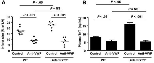 Figure 3. VWF neutralization by anti-VWF Abs reduces myocardial I/R injury in WT and Adamts13−/− mice. (A) Quantification of the infarct size (n = 7-9/group). Each dot represents a single mouse. Horizontal bars indicate mean values. (B) Plasma cardiac TnT levels (n = 7-9/group). Data are means ± SEM. Two-way ANOVA showed that the interaction of genotype and treatment with the VWF inhibitor was significant (P = .017; F = 6.56). NS indicates nonsignificant.