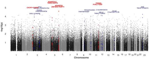 Figure 2. Manhattan plot showing the distribution of P values over all chromosomes. Loci are colored in correspondence to P value thresholds: red represents P < 10−5; and blue, P < 5 × 10−4. Annotation shows the closest gene in each direction (upstream/downstream, intragenic).