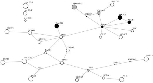 Figure 4. Analysis of associated loci accumulated in protein interaction network modules as computed by dmGWAS. Proteins that belong to a Reactome pathway containing the string “platelet” have been marked black and gray for “endothel” and “extracellular” accordingly.