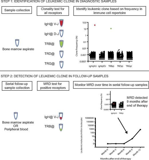 Figure 5. Schematic diagram of sequencing analysis and work flow for prospective sample collection.