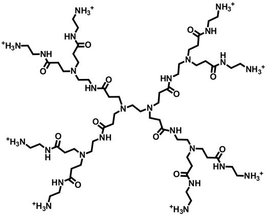 Figure 3. Chemical structure of the generation 1.0 cationic PAMAM dendrimer used in this study.