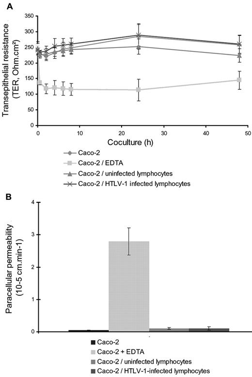 Figure 2. Assessment of barrier integrity of Caco-2 monolayer cocultured with HTLV-1–infected or uninfected lymphocytes. Results shown are the means of 3 independent experiments. (A) Measurement of TER monitored with a volt-ohm meter at different times after coculture. Similar values of TER were found over time for Caco-2 cells cultured alone (diamonds) or with uninfected lymphocytes (triangles) or HTLV-1–infected lymphocytes (crosses) compared with the low values measured after EDTA treatment (squares). EDTA (12.5mM) was added 30 minutes before coculture with lymphocytes and used as a positive control to open the barrier. (B) Assessment of paracellular permeability of the Caco-2 monolayer monitored by FITC dextran (4 kDa) transfer to the basal compartment. No significant amounts of FITC dextran could be detected in the basal compartment for Caco-2 cells cultured alone (first column to the left) or with uninfected lymphocytes (third column to the left) or HTLV-1–infected lymphocytes (fourth column to the left). Opening of the barrier (positive control) was performed by adding EDTA in the apical medium, leading to a significant increase of permeability to FITC dextran (second column to the left).