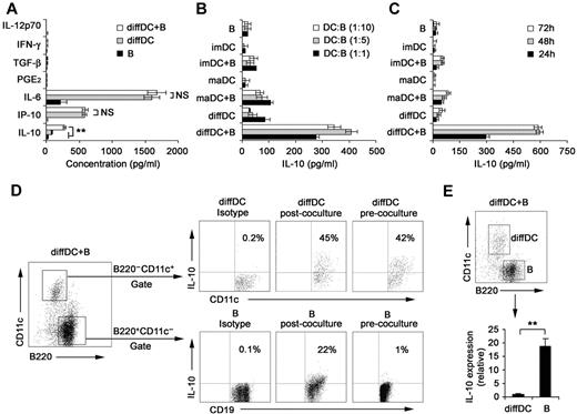 Figure 1. Regulatory DCs induce the differentiation of splenic B cells into IL-10–producing B cells. (A) Freshly purified splenic naive B cells were cocultured with regulatory DCs at a ratio of 1:1 for 24 hours. Culture supernatants were collected and assayed for cytokines (IL-10, IP-10, IL-6, IL-12p70, PGE2, TGF-β, and IFN-γ) by ELISA. (B) Splenic naive B cells were cocultured with various DCs at the indicated ratios (DC/B). Supernatants were collected at 24 hours and assayed for IL-10. (C) Splenic naive B cells were cocultured with various DCs at a ratio of 1:10 (DC/B), and supernatants were collected at different times for assay of IL-10. (D) Intracellular staining for IL-10 in splenic CD19+B220+CD11c− B cells and B220−CD11c+ regulatory DCs in coculture system. The percentages of each population are indicated in the plots. (E) B220+CD11c− B cells and B220−CD11c+ regulatory DCs were sorted after coculture, and IL-10 expression in the purified regulatory DCs and B cells was checked by quantitative RT-PCR. IL-10 expression in diffDCs was designated as 1 for the comparison of IL-10 expression between regulatory B cells and diffDCs. Results are representative of 3 independent experiments. Data are mean ± SD. **P < .01. NS indicates not significant.