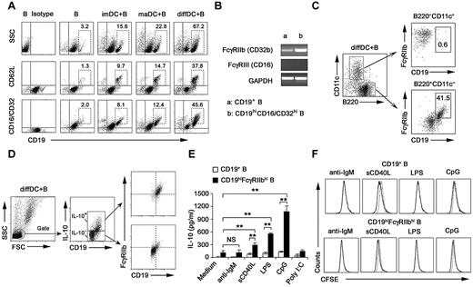 Figure 2. Regulatory DCs program generation of IL-10–producing B population with CD19hiFcγRIIbhi phenotype. (A) Purified splenic naive B cells cocultured with DCs at a ratio of 1:10 (DC/B) for 48 hours were stained with antibodies to CD19, CD62L, or CD16/CD32 and analyzed by flow cytometry. Numbers in plots indicate percentage of CD19hi cells or CD19hiCD62L+ cells or CD19hiCD16/CD32hi in the gated CD19+ B cells. (B) FcγIIb and FcγRIII mRNA expression by conventional splenic CD19+ B cells or sorted CD19hiCD16/CD32hi B cells was assessed by RT-PCR. The transcript of mouse GAPDH gene was used as the amplification control. (C) Purified splenic naive B cells were cocultured with regulatory DCs at a ratio of 1:10 (DC/B) for 48 hours. Cells were stained with antibodies to CD19, B220, CD11c, and CD16/CD32 and analyzed by flow cytometry. Numbers in plots indicate percentage of CD19hiFcγRIIbhi in the gated B220−CD11c+ regulatory DCs or B220+CD11c− B cells. (D) Purified splenic B cells were cocultured with regulatory DCs. CD19+IL-10+ B cells or CD19+IL-10− B cells were gated and assessed for FcγIIb expression. (E) Twenty-four hours after conventional splenic B cells or sorted CD19hiFcγRIIbhi B cells were stimulated with 20 μg/mL anti-IgM Ab, 2 μg/mL sCD40L, 200 ng/mL LPS, 2 μg/mL CpG ODN, or 2 μg/mL poly I:C, respectively, IL-10 production was measured by ELISA. (F) Conventional splenic B cells or sorted CD19hiFcγRIIbhi B cells were labeled with CFSE and cultured with anti-IgM Ab, sCD40L, LPS, or CpG ODN for 5 days. Histograms represent CFSE expression by the CD19+ or CD19hiFcγRIIbhi B cells. Gray lines represent CFSE staining of the unstimulated CD19+ or CD19hiFcγRIIbhi B cells. Results are representative of 3 independent experiments. Data are mean ± SD. **P < .01. NS indicates not significant.