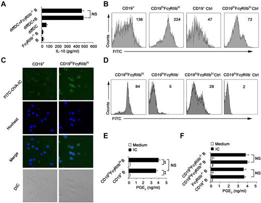 Figure 3. CD19hiFcγRIIbhi B cells exhibit the increased phagocytic capacity. (A) Freshly purified splenic B cells or FcγRIIb−/− B cells were incubated with regulatory DCs for 48 hours at a ratio of 1:10 (DC:B). IL-10 in the supernatants was measured. (B) Phagocytic ability of CD19hiFcγRIIbhi B cells and conventional splenic CD19+ B cells was assessed by flow cytometry of FITC-OVA-IC phagocytosis. Ctrl indicates controls (cells incubated with FITC-OVA-IC at 4°C). (C) The confocal analysis of phagocytic ability of CD19hiFcγRIIbhi B cells and conventional splenic CD19+ B cells. Representative images of immunofluorescence were stained with Hoechst staining (nuclei). Images were acquired by Leica TCS SP2 confocal microscopy under a 20×/0.70 CS objective lens. (D) Phagocytic ability of CD19hiFcγRIIbhi B cells and CD19hiFcγRIIb−/− B cells was assessed by flow cytometry of FITC-OVA-IC phagocytosis. Ctrl indicates controls (cells incubated with FITC-OVA-IC at 4°C). (E-F) Splenic CD19+ B cells, sorted CD19hiFcγRIIbhi B cells, splenic CD19+FcγRIIb−/− B cells, and sorted CD19hiFcγRIIb−/− B cells were stimulated with or without IC for 24 hours, respectively, and then assayed for PGE2 production in the supernatants. Data represent 1 of at least 3 experiments with similar results. (B,D) Numbers indicate the mean fluorescence intensity of test samples. (A,E-F) Data are mean ± SD. **P < .01. NS indicates not significant.