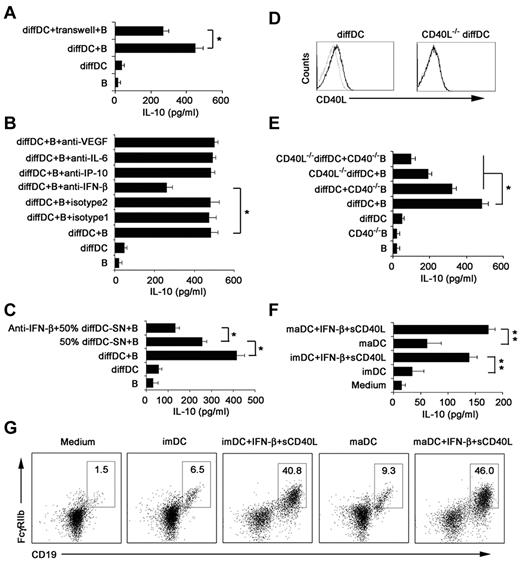 Figure 5. IFN-β and CD40L/CD40 interaction is required to induce regulatory B-cell generation driven by regulatory DCs. (A) Splenic naive B cells were cocultured with regulatory DCs either directly or separated from regulatory DCs by transwell system. (B) Splenic naive B cells were cocultured with regulatory DCs in the presence of the indicated neutralizing antibodies (5 μg/mL). (C) Neutralizing anti–IFN-β antibody was added to the B-cell culture system in the presence of regulatory DC supernatants (regulatory DC-SN, collected after 24 hours of culture). And the final concentration of supernatants used was 50%. (D) CD40L expression on regulatory DCs and CD40L−/− regulatory DCs was tested by flow cytometry. (E) Wild-type B cells or CD40−/− B cells were incubated with regulatory DCs or CD40L−/− regulatory DCs. Culture supernatants were collected at 48 hours and assayed for IL-10. (F-G) imDCs or maDCs were cocultured with purified splenic naive B cells in the presence of IFN-β (2 μg/mL) and sCD40L (2 μg/mL) for 48 hours. Culture supernatants were collected and assayed for IL-10 (F). Cells were stained with antibodies to CD19 and CD16/CD32 and analyzed by flow cytometry (G). The DC/B ratio in all these experiments was 1:10. Data are mean ± SD of triplicate wells. *P < .05. **P < .01.