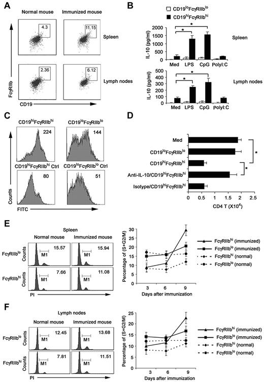 Figure 7. Identification of the natural counterpart of CD19hiFcγIIbhi B cells in vivo. Splenocytes and lymph node cells enriched with anti-CD19 magnetic beads were double-stained. CD19hiFcγIIbhi B cells and CD19loFcγIIblo B cells were sorted by flow cytometry. (A) Numbers in plot regions indicate the percentage of CD19hiFcγIIbhi in the gated CD19+ B cells. (B) CD19hiFcγIIbhi and CD19loFcγIIblo were stimulated with 200 ng/mL LPS, 2 μg/mL CpG ODN, or 2 μg/mL poly I:C for 24 hours; then IL-10 production was measured by ELISA. (C) The phagocytic ability of sorted CD19hiFcγIIbhi and CD19loFcγIIblo B cells was assessed by flow cytometry of FITC-OVA-IC phagocytosis. Numbers in the histogram indicate the mean fluorescence intensity of test samples. Ctrl indicates controls (cells incubated with FITC-OVA-IC at 4°C). (D) CD19hiFcγIIbhi or CD19loFcγIIblo B cells were cocultured with activated CD4 T cells. In some groups, anti–IL-10 antibody was added into the activated CD4 T/B coculture system. After 5 days, the relative number of viable CD4 T cells in each well was detected by flow cytometry. (E-F) DO11.10 OVA323-339-specific TCR transgenic × C57BL/6J F1 hybrid mice were killed on days 3, 6, and 9 after immunization with 40 μg OVA plus 10 μg CpG ODN. CD19+ cells were sorted from spleen (E) and lymph nodes (F). Left: cell-cycle status of FcγIIbhi cells analyzed by propidium iodide (numbers indicate percentage of FcγIIbhi and FcγIIblo cells, respectively, in S/M/G2). Right: percentage of proliferating B cells in FcγIIbhi or FcγIIblo cell population of different phases of immune response by cycle analysis. (B,D) Data are mean ± SD of triplicate cells. *P < .05.