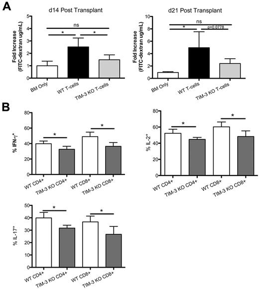 Figure 5. Inhibiting Tim-3 in the absence of T-regs reduces gut pathology. (A) B6 mice were lethally irradiated and infused with 107 BALB/c NTCD BM and 3 × 106 BALB/c or Tim-3−/−–purified CD25− T cells. FITC-dextran (16 mg) was administered orally to mice on day 14 (P = .046, n = 4) and days 21(P = .0778, n = 4). Serum levels were measured 4 hours later. (B) B6 mice were lethally irradiated and infused with 107 BALB/c NTCD BM and 3 × 106 BALB/c or Tim-3−/−–purified CD25− T cells. Mice were killed on day 21, and lamina propria lymphocytes were analyzed for effector cytokines.