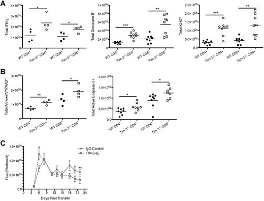Figure 6. Elevated IFN-γ levels lead to AICD. (A) B6 mice were lethally irradiated and infused with 107 BALB/c NTCD BM and 3 × 106 BALB/c or Tim-3−/−–purified CD25− T cells. Mice were killed on day 7, and splenocytes were analyzed for IFN-γ (n = 4), granzyme-B (n = 8), and Ki-67 (n = 8; *P < .05, ***P < .001). (B) B6 mice were lethally irradiated and infused with 107 BALB/c NTCD BM and 3 × 106 BALB/c or Tim-3−/−–purified CD25− T cells. Mice were killed on day 7, and splenocytes were analyzed for Annexin V/7-AAD (n = 4) and activated caspase-3 (P < .05, n = 8). (C) B6D2F1 mice were lethally irradiated and infused with 107 B6 NTCD BM, 5 × 105 B6-purified T cells, and 2.5 × 104 TEa monoclonal luciferase–enriched T cells.