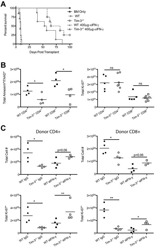 Figure 7. Blocking IFN-γ eliminates the promotion of AICD. (A) B6 mice were lethally irradiated and infused with 107 BALB/c NTCD BM and 3 × 106 BALB/c or Tim-3−/−–purified CD25− T-cells. Recipients of Tim-3−/− CD25-depleted T cells had a significantly (P = .046) higher survival than those given WT CD25-depleted T cells. Survival plot of IgG control versus αIFN-γ treatment is shown (n = 8/group). (B) B6 mice were lethally irradiated and infused with 107 BALB/c NTCD BM and 3 × 106 BALB/c or Tim-3−/−–purified CD25− T-cells. Mice were killed on day 7, and splenocytes were analyzed by flow cytometry for annexin V (n = 4) and Ki-67 (n = 5-8; *P < .05). (C) B6 mice were lethally irradiated and infused with 107 BALB/c NTCD BM and 3 × 106 BALB/c or Tim-3−/−–purified CD25− T cells for IgG control treatment and 1 × 106 BALB/c or Tim-3−/−–purified CD25− T-cells for αIFN-γ treatment. Mice were killed on day 21, and lamina propria lymphocytes were analyzed for total CD4+ and CD8+ cell numbers (*P < .05) and total Ki-67 (*P < .05, **P < .01).