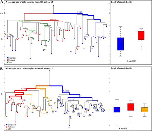 Figure 3. Leukemia cells at diagnosis and relapse from 2 patients with AML. (A) Patient L1 with acute myeloid leukemia (AML). (Left) Reconstructed lineage tree of CD33+CD4+CD15− blasts from peripheral blood (PB) individual leukemia cells at diagnosis (blue) and relapse (red). T cells (TCs) from PB both at diagnosis and relapse were CD3+CD33−CD4− (green); root (black) was calculated from the median signal of all cells. (Right) Comparison of depth between cells at diagnosis (blue) and relapse (red; P < .0005). (B) Patient L2 with AML (Left) Reconstructed lineage tree of CD117+ blasts from PB individual leukemia blast cells at diagnosis (blue) and relapse (red). CD34+CD38−CD90+ leukemia stem cell (LSC)–enriched population from BM at diagnosis (orange). Root (black) was calculated from the median signal of all cells. (Right) Comparison of depth between cells at diagnosis (blue) and relapse (red; P = .002). The most significant P value for clustering is indicated. The width of the colored branches represents the level of clustering significance (wider = lower P value). Y-axis represents depth in arbitrary units. The numbers below the cells represent the FLT3/internal tandem duplication genotype of each cell only if duplication was present; wild types are blanks.