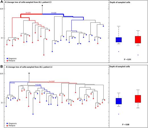 Figure 4. ALL cells at diagnosis and relapse cluster to different lineages. (A) Patient L3 with B-cell acute lymphoblastic leukemia (B-ALL): (Left) Reconstructed lineage tree of CD34 blasts from peripheral blood (PB) individual leukemia cells at diagnosis (blue) and relapse (red) for patient L3. Root (black) was calculated from the median signal of all cells. (Right) Comparison of depth between cells at diagnosis (blue) and relapse (red; P|=|.91). (B) Patient L4 with B-ALL: (Left) Reconstructed lineage tree of CD2CD4CD3 blasts from PB individual leukemia blast cells at diagnosis (blue) and relapse (red) for patient L4. (Right) Comparison of depth between cells at diagnosis (blue) and relapse (red; P|=|.88). The most significant P value for clustering is indicated. The width of the colored branches represents the level of clustering significance (wider lower P value). Y-axis represents depth in arbitrary units.