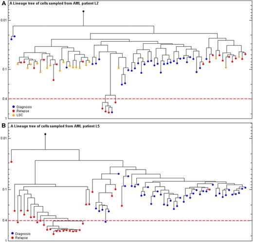 Figure 5. Enrichment of MSI cells at relapse. (A) Patient L2: reconstructed lineage tree of CD117+, PB individual leukemia blasts cells at diagnosis (blue) and relapse (red) and CD34+ CD38− CD90+ leukemia stem cells from bone marrow at diagnosis (orange) for patient L2. The dashed red line is the threshold above which cells are designated as MSI. Y-axis represents depth. The scale is the fraction of MSs with mutated allele divided by total number of MSs amplified for each cell. (B) CML blast crisis patient L5: reconstructed lineage tree of CD34+ CD117+ CD33+, from PB, individual leukemia blast cells at diagnosis (blue) and relapse (red) for patient L5. The dashed red line is the threshold above which cells are designated as MSI. Y-axis represents depth. The scale is the fraction of MSs with mutated allele divided by total number of MSs amplified for each cell.