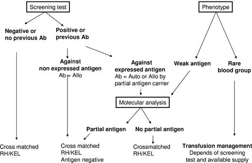 Figure 2. Recommended transfusion strategy for SCD patients. All recommendations are based on the results of the serum antibody screening test results and the extended RBC phenotype of the patient. For patients with no detectable antibodies, no known previous antibodies, and no abnormal RBC phenotype, transfusion of leukoreduced, cross-matched RH/KEL-compatible RBC units is recommended. When antibodies are identified at the screening test or known by history, 2 scenarios can be encountered: (1) The corresponding antigen is not expressed on patient RBCs; therefore, the antibody is an alloantibody (Ab = Allo), and hence antigen-negative RBCs should be transfused. (2) The corresponding antigen is expressed on patient RBCs, and serologic and/or molecular studies are needed to determine whether the antibody is an alloantibody produced in a partial antigen carrier or an autoantibody (Ab = Auto). If an alloantibody, and there are available donor units, compatibility should extend to other common nonexpressed antigens. If an autoantibody, matching for the corresponding antigen is unnecessary. For the phenotype of the patient, 2 situations should be considered: (1) One situation is the presence of a weak antigen, where molecular analysis will be needed to determine whether it is a partial antigen. If the patient has no detectable antibodies, transfusion with an antigen-negative unit is preferred, although antigen-positive RBCs can also be issued because the risk of alloimmunization in patients with weak antigens has not yet been determined. However, close monitoring of possible immunization is needed if antigen-positive units are transfused. (2) Another situation is the presence of a rare phenotype, where availability of high frequency antigen-negative units is the determining factor for the transfusion strategy. If the patient is already immunized against the high-frequency antigen, antigen-negative units are recommended for transfusion. If no rare units are available, the benefit/risk ratio of transfusion has to be considered. For patients who are not yet immunized against high incidence antigens, transfusion of antigen-negative units is also recommended if such units are not in short supply. Otherwise, the standard RBCs for SCD can be issued, and the patients should be monitored closely. Given that antigen-negative units for patients with rare phenotype are by definition in short supply, transfusion management of these patients can become extremely challenging, and we recommend that the risk/benefit ratio of alternative treatments, such as hydroxyurea (hydroxycarbamide) for adult patients or bone marrow or cord blood transplantation for children, is discussed with such patients.