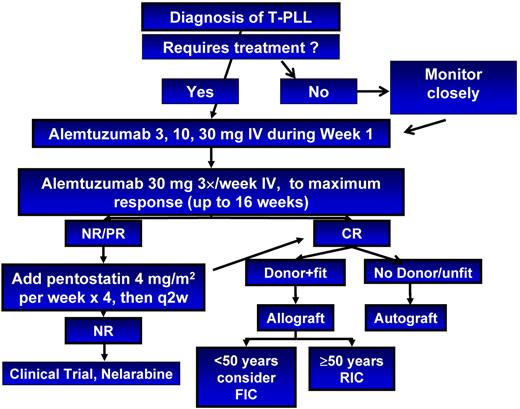 Figure 5. Treatment algorithm for T-PLL.