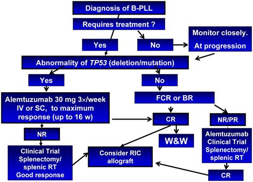 Figure 9. Treatment algorithm for B-PLL.