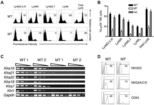 Figure 2. Klra15-targeted mice show a drastic reduction in telomeric NKC gene expression. (A) NK cells (DX5+TCRβ−) from the spleens of WT or mutant mice were analyzed for Ly49 expression with mAbs 4E5 (which binds Ly49O/V/R in mice with a 129-strain Klra gene cluster), 12A8 (Ly49R), 4D11 (Ly49G/T), and 14B11 (Ly49I) individually or as a cocktail (Total Ly49). The percentage of NK cells positively stained is indicated. (B) The mean ± SD percentage of different splenic NK-cell subsets present in WT, mutant, and heterozygous littermates (n = 5) is shown graphically. (C) Semiquantitative RT-PCR of cDNA for the indicated genes was performed on total RNA obtained from lymphokine-activated killer cells prepared from 2 individual WT or mutant mouse spleens. (D) The expression of NKG2/CD94 family of receptors on splenic NK cells from WT or mutant littermates. Data are representative of ≥ 3 similar experiments. These experiments were performed with mice on the 129S1 background.