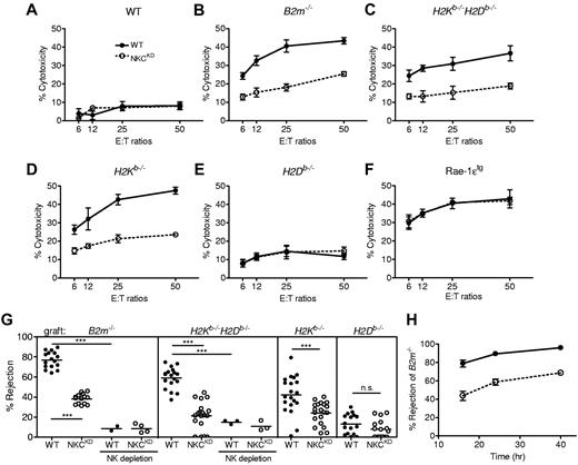 Figure 3. Natural killer gene complex knockdown (NKCKD) NK cells exhibit defective in vitro killing of MHC-I–deficient ConA blasts, and NKCKD mice exhibit reduced rejection of MHC-I–deficient splenocytes in vivo. The ability of lymphokine-activated killer (LAK) cells from WT and NKCKD to kill splenic ConA blast target cells from (A) B6 (WT), (B) B2m−/−, (C) H2Kb−/−H2Db−/−, (D) H2Kb−/−, (E) H2Db−/−, and (F) Rae-1ϵ transgenic (Rae-1ϵtg) mice was tested by 51Cr-release assay. Data are represented as the mean ± SD percentage of chromium release from triplicate wells. Data are representative of 3 similar experiments. Cytotoxicity experiments were performed with mice on the B6 background. (G) The ability of WT and NKCKD mice to reject CFSE-labeled splenocytes from B2m−/−, H2Kb−/−H2Db−/−, H2Kb−/−, and H2Db−/− mice was tested by flow cytometry of recipient splenocytes 16 hours after injection. Each symbol represents the data from an individual mouse, and the small horizontal lines indicate the mean. Some mice of each strain were pretreated with anti–asialo-GM1 Ab to deplete NK cells before injection of CFSE-labeled cells. Data are pooled from 3 to 5 independent experiments. Groups differed significantly as shown (***P < .001; NS, not significant). (H) Time-course rejection assay of B2m−/− splenocytes by WT and NKCKD mice. Data are displayed as the mean ± SEM rejection of 6 individual mice. Splenocyte rejection experiments were performed with 129S1 background mice.