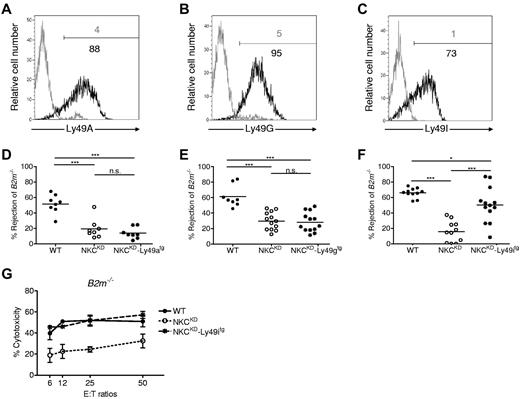 Figure 4. Loss of MHC-I-immunosurveillance in NKCKD mice is because of silencing of Ly49 that bind to self–MHC-I. Three different Ly49-transgenes were introduced into NKCKD mice by breeding. (A-C) Flow cytometric analysis of Ly49 expression in Ly49tg-NKCKD NK cells. Ly49 staining of NK cells is shown for (A) NKCKD-Ly49Atg, (B) NKCKD-Ly49Gtg, and (C) NKCKD-Ly49Itg mice as a black histogram. The gray histogram shows control staining of splenic NK cells from NKCKDmice. (D-F) Specific rejection of B2m−/− splenocytes by (D) Ly49Atg-NKCKD mice, (E) Ly49Gtg-NKCKD mice, (F) Ly49Itg-NKCKD mice in comparison to WT or NKCKD mice. Each symbol represents the data from a single mouse. Data are pooled from 3 to 5 independent experiments. Groups differed significantly as shown (*P < .05; ***P < .001; NS indicates not significant). (G) LAK prepared from WT, NKCKD, and NKCKD-Ly49itg mice were used as effector cells in a 51Cr-release assay against B2m−/− ConA blasts. These experiments were performed with mice on the B6 background.