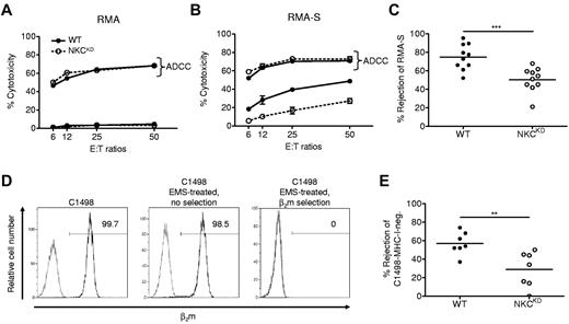 Figure 5. NKCKD NK cells exhibit reduced cytotoxicity toward MHC-I–deficient tumor cells in vitro and in vivo. (A-B) The ability of WT versus NKCKD lymphokine-activated killer (LAK) cells to kill tumor target cells was tested by 51Cr-release assay. LAK cells generated from WT and NKCKD mice were used as effectors cells against untreated (A) RMA, (B) RMA-S target cells, or targets precoated with anti-Thy1.2 mAb to test antibody-dependent cellular cytotoxicity (ADCC) function. The data are displayed as the mean ± SD percentage of chromium release from triplicate wells. (C) In vivo rejection of RMA-S relative to RMA cells was assessed. The mean rejection is indicated by a horizontal line. Each symbol represents the data from a single mouse. (D) Production of a MHC-I–negative C1498 subline. Flow cytometry for β2m (dark histogram) is shown for the indicated C1498 lines. The gray histogram indicates isotype control mAb staining. The percentage of cells positively staining for β2m is indicated. (E) In vivo rejection of C1498-MHC-I–negative cells versus C1498-MHC-I–positive tumor cells. Note that both cell lines received EMS treatment. Data are representative of ≥ 3 similar experiments. Groups differed significantly as shown (**P < .01; ***P < .001). These experiments were performed with mice on the B6 background.