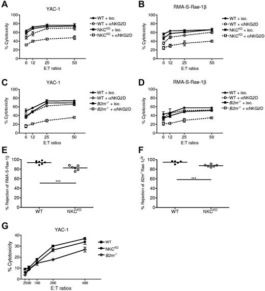 Figure 6. Activation via NKG2D overcomes deficient missing-self responses by natural killer gene complex knockdown (NKCKD) and B2m−/− NK cells to tumor cells. (A-B) The cytotoxic potential of WT versus NKCKD LAK cells against (A) YAC-1 and (B) RMA-S-Rae-1β target cells was assessed by 51Cr-release assay in the presence or absence of blocking anti-NKG2D. (C-D) Similarly, cytotoxicity of WT versus B2m−/− LAK cells was assessed against (C) YAC-1 and (D) RMA-S-Rae-1β target cells in the presence or absence of blocking anti-NKG2D. The data are displayed as the mean ± SD percentage of chromium release from triplicate wells. (E-F) In vivo rejection of (E) RMA-S-Rae-1β relative to RMA cells or of (F) B2m−/−Rae-1etg splenocytes relative to WT splenocytes was assessed. The mean rejection is indicated by a horizontal line. Each symbol represents the data from a single mouse. Data are representative of ≥ 3 similar experiments. Groups differed significantly as shown (***P < .001). (G) Splenocytes from the indicated mouse strains were used in cytotoxicity assays against 51Cr-labeled YAC-1 cells at the indicated effector-to-target ratios. The data are displayed as the mean ± SD of chromium release from triplicate wells. These experiments were performed with mice on the B6 background.